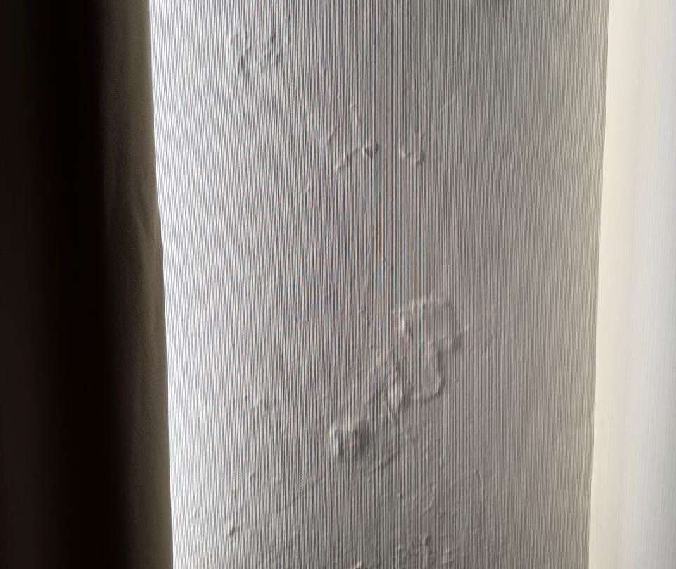 NH阿维尼达赫雷斯酒店主图