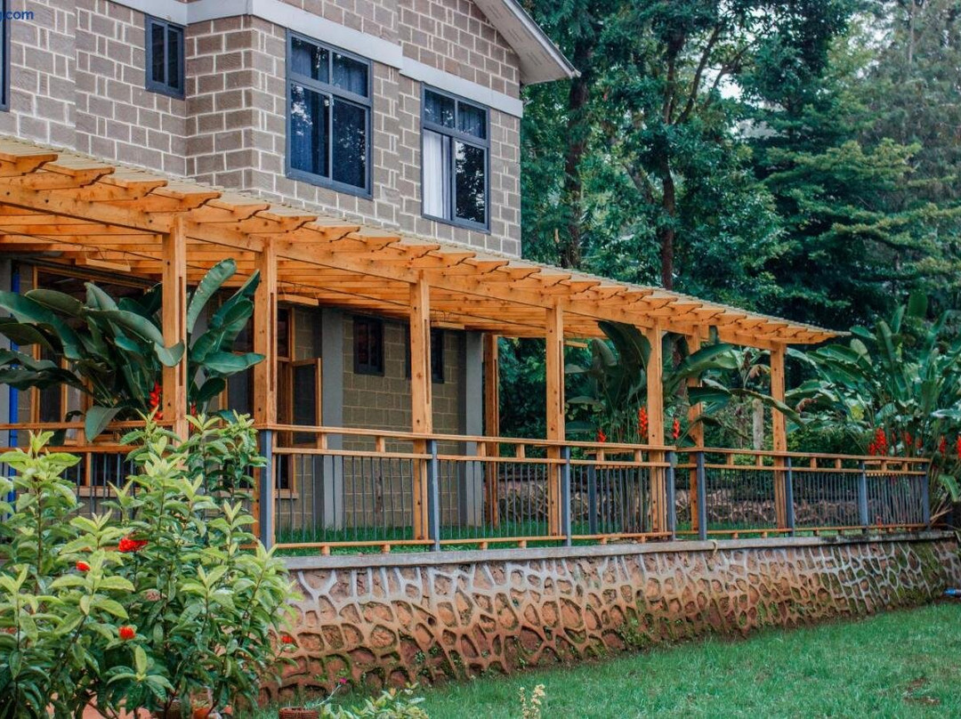 Avocado Kilimanjaro Homes