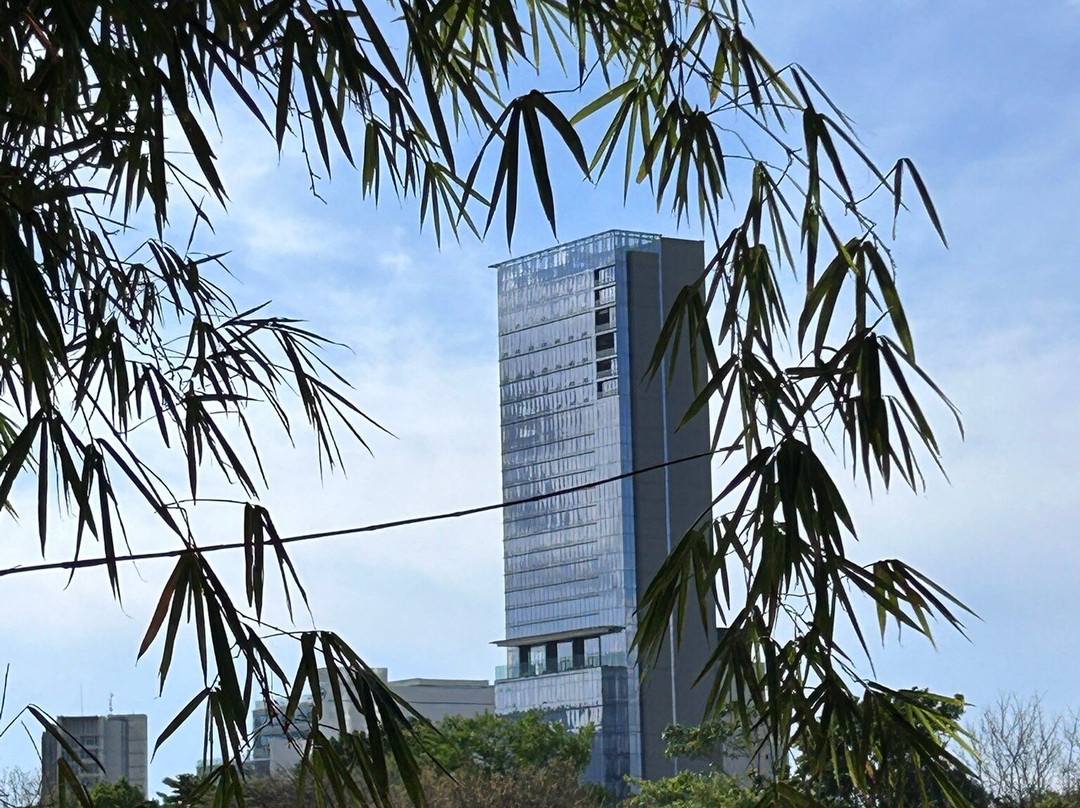 圣何塞拉萨瓦纳希尔顿酒店主图