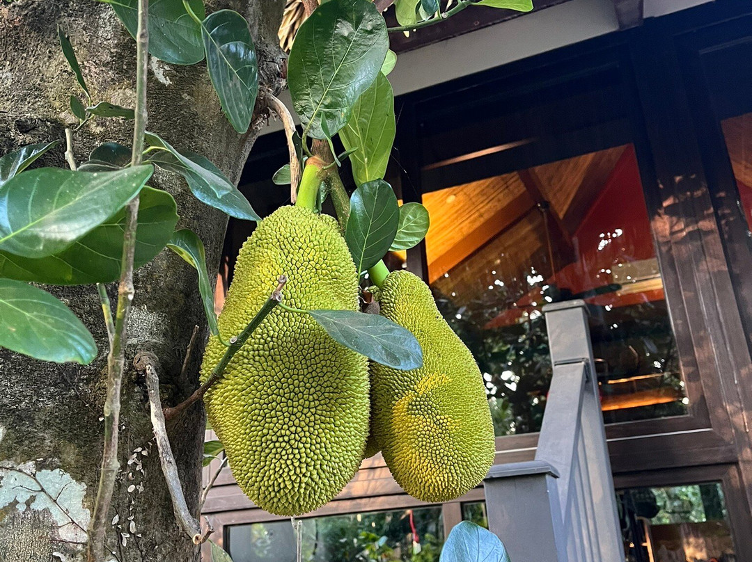 利希姆度假村主图