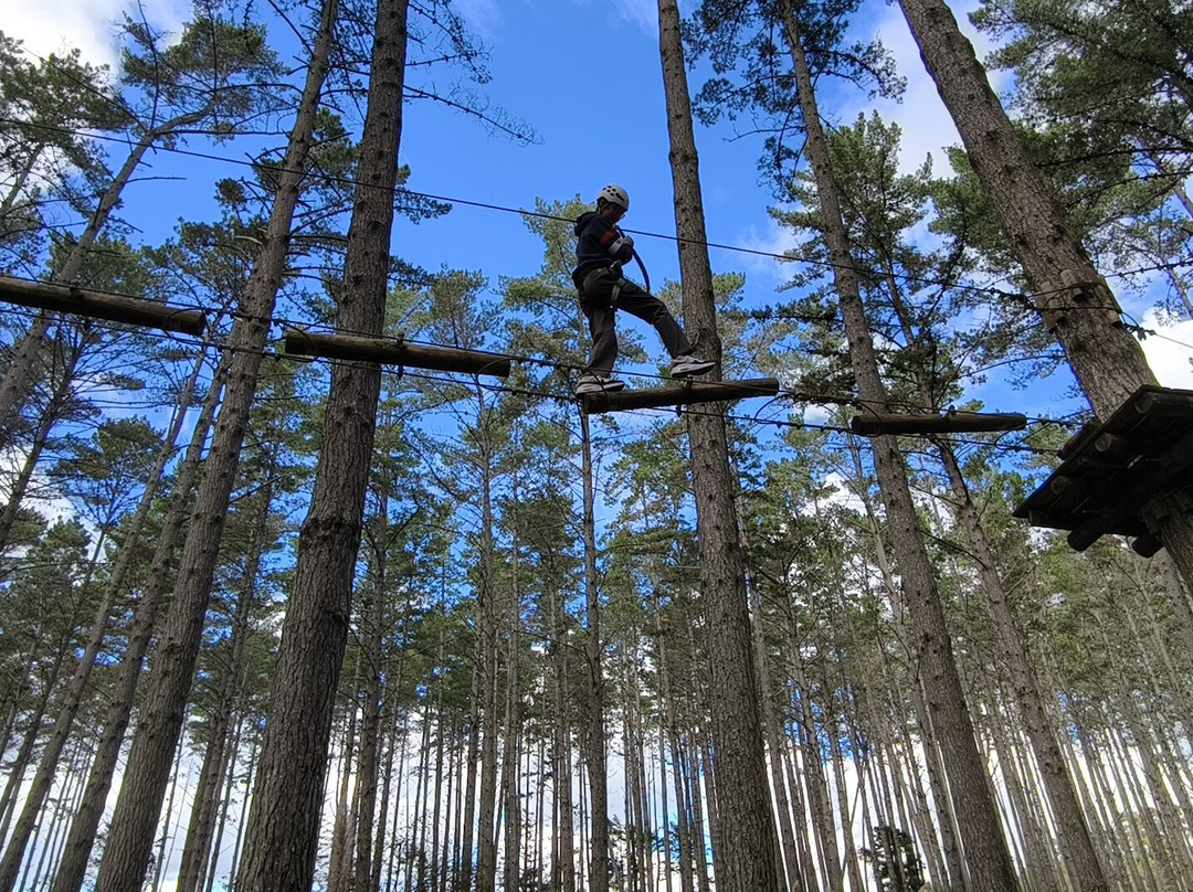 Tree Adventures-伍德山必去景点
