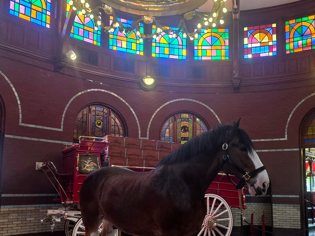Budweiser Brewery Experience-圣路易斯必去景点