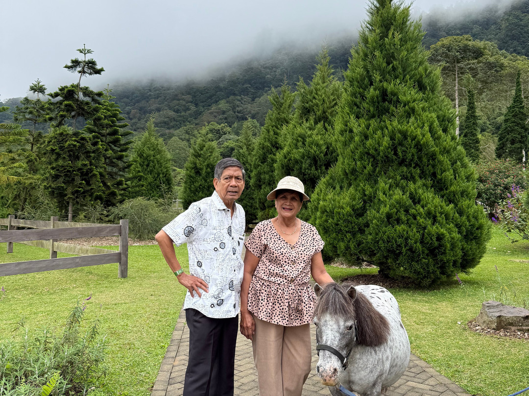 Bali Farm House-Pancasari必去景点