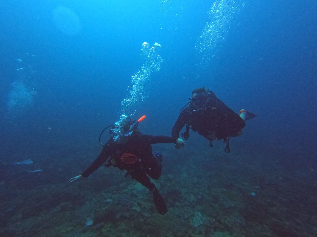 Pisces Diving Sodwana Bay-索德瓦纳必去景点