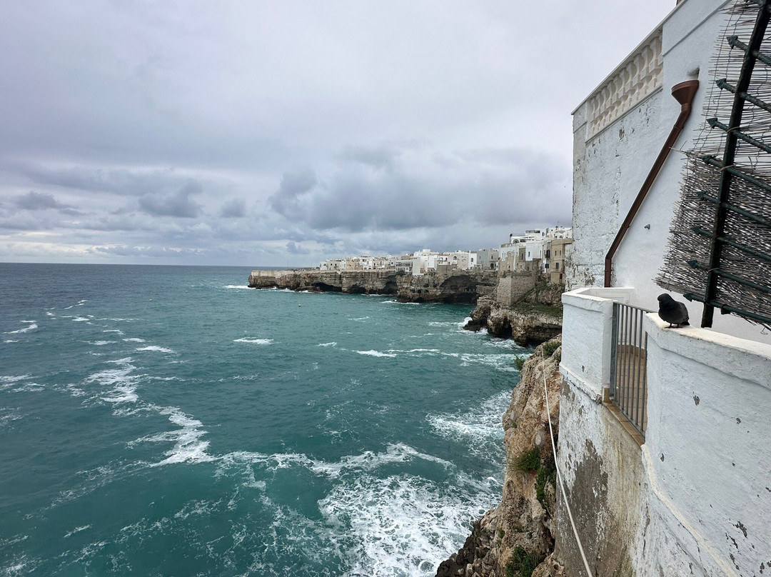 Belvedere Terrazza Santo Stefano-波利尼亚诺阿马雷必去景点