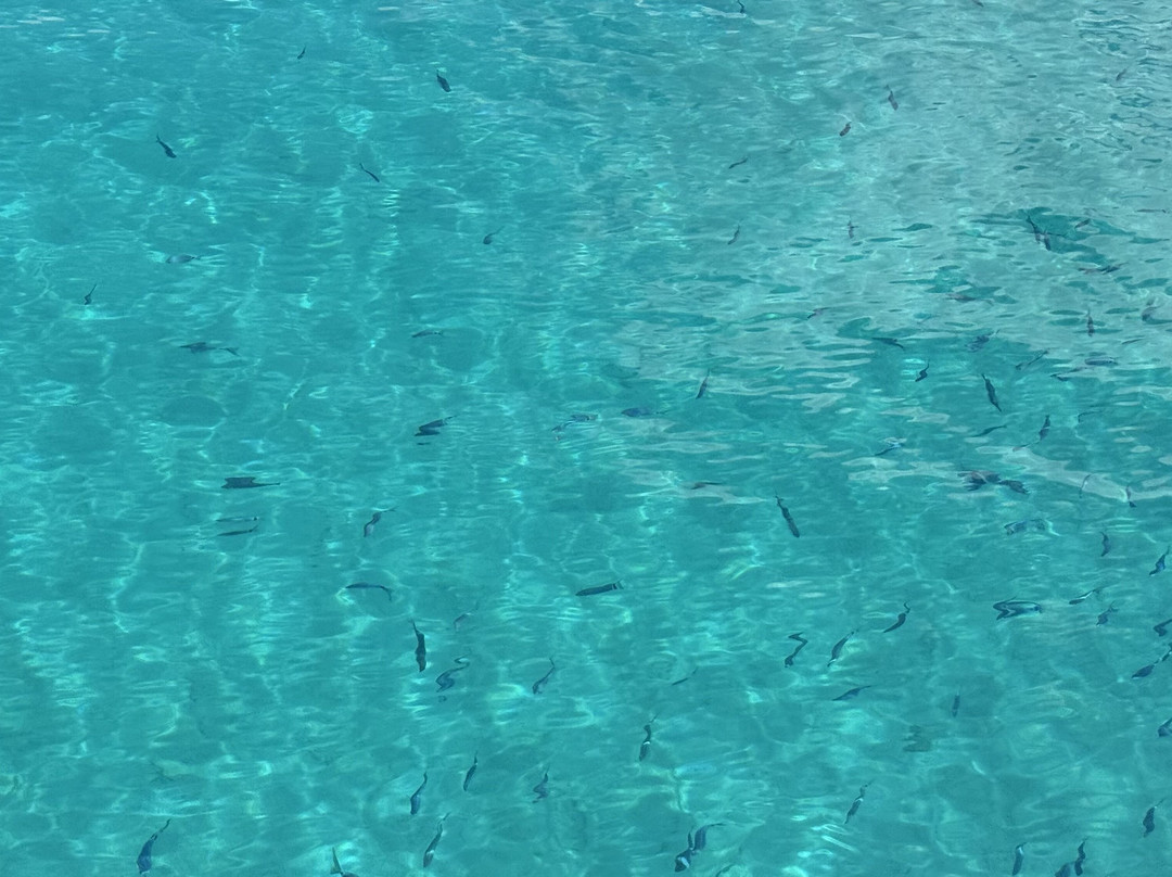 Easybook - Kostas Boat Trips-Agios Georgios必去景点