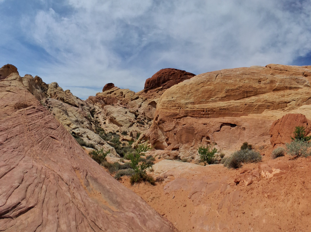 Valley of Fire State Park-欧弗顿必去景点