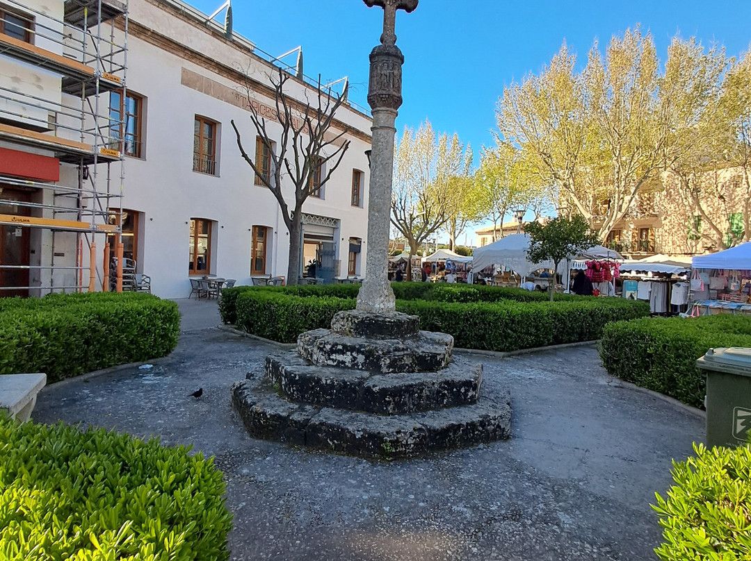 Alcudia Markt-阿库迪亚必去景点