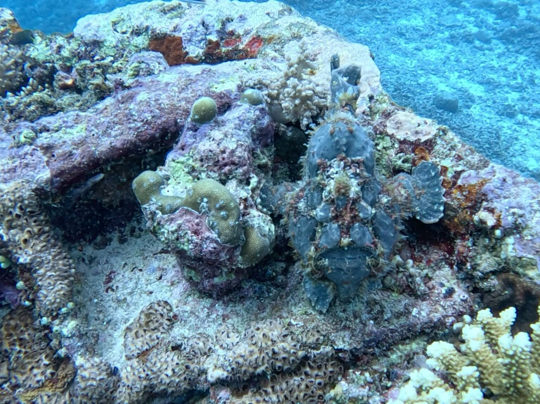 Meno Dive Club-Gili Meno必去景点