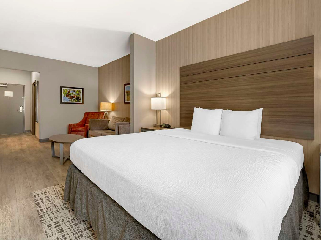 Houston酒店住宿-Best Western Plus Lacrescent / Lacrosse
