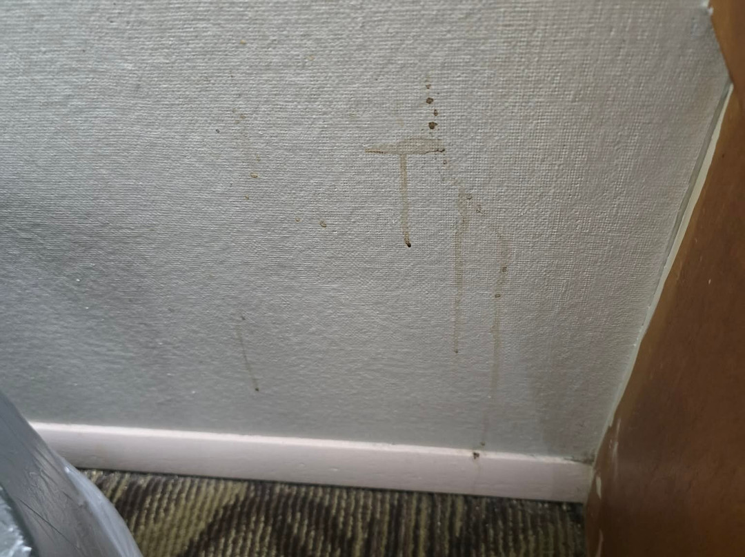 苏格兰旅馆主图
