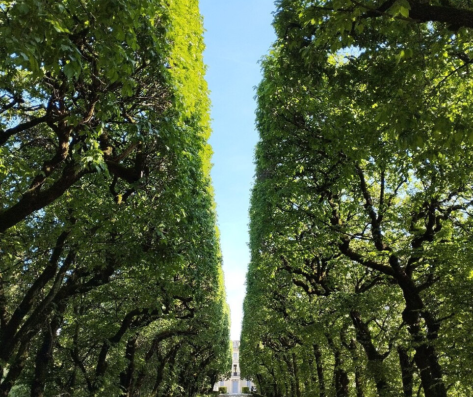 Villa Rovereti - Rizzardi-Negrar di Valpolicella必去景点