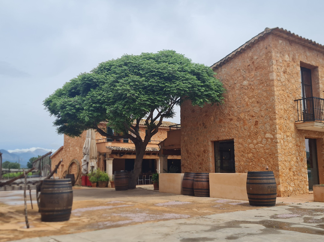 Bodegas Angel-Santa Maria del Cami必去景点