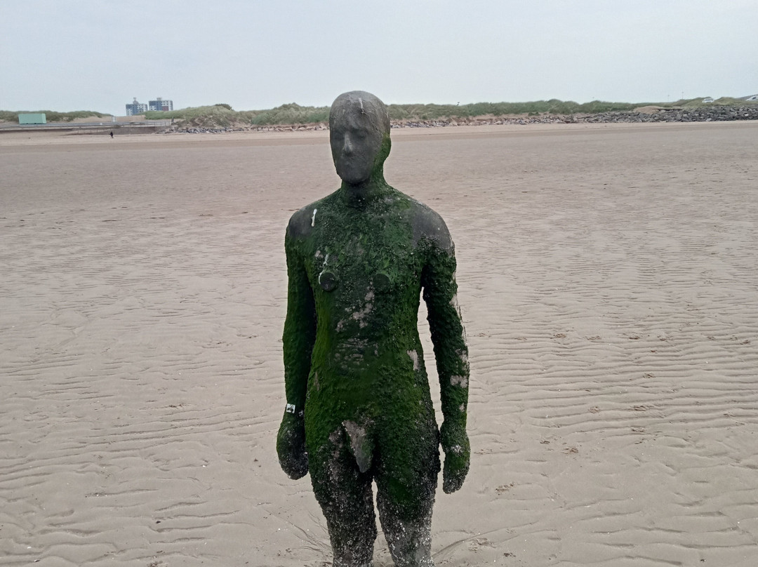Crosby Beach-克罗斯比必去景点