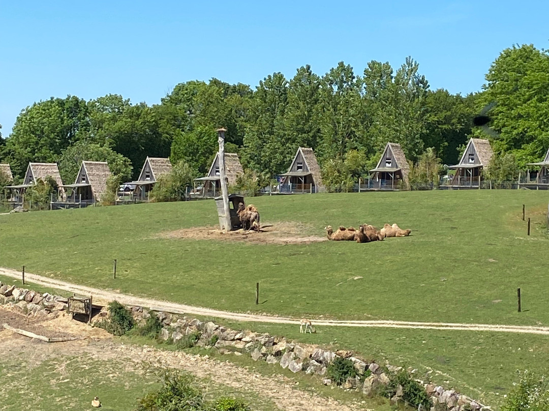 Parc Zoologique Cerza-Hermival-les-Vaux必去景点