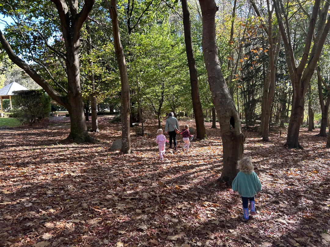 Ashcombe Maze & Lavender Garden-Shoreham必去景点