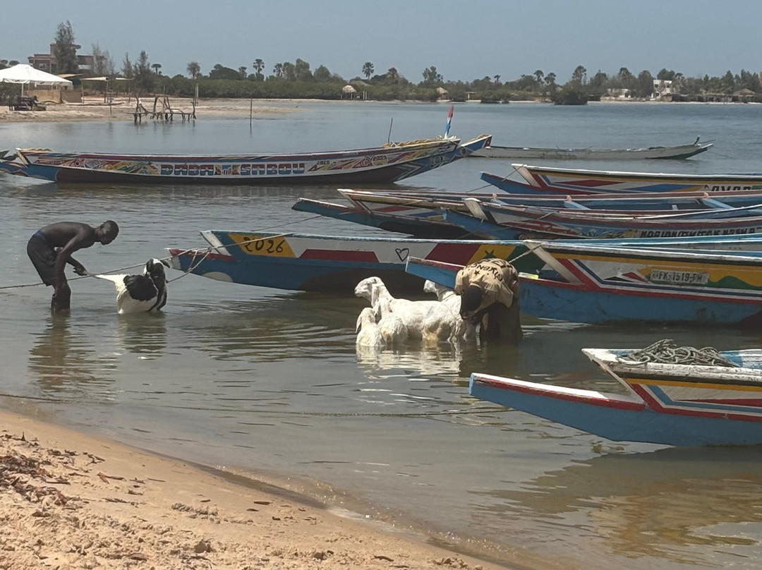 Excursions Départ Hôtel Riu Baobab-Ponto必去景点