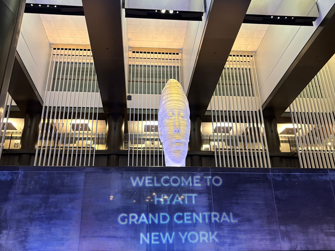 纽约中央Hyatt大酒店主图