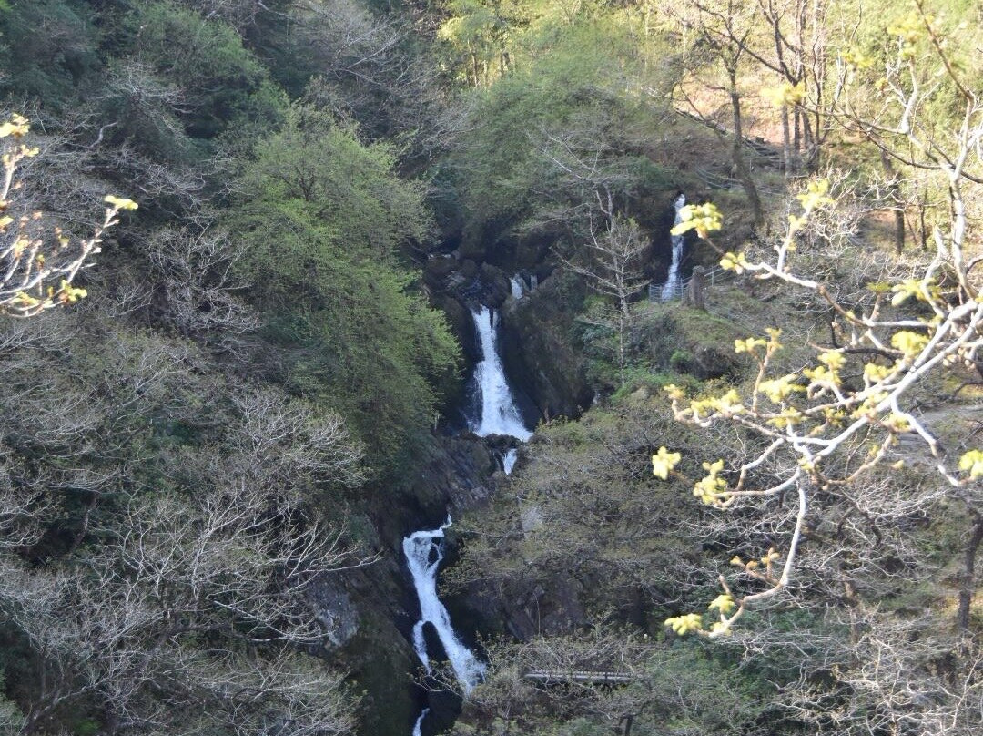 Devil's Bridge Waterfalls-Devil's Bridge (Pontarfynach)必去景点