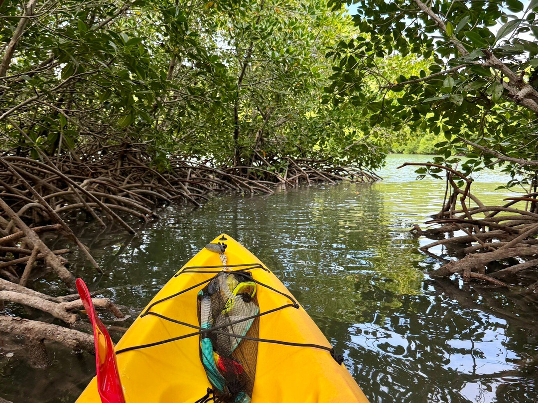 Sea Kayak Adventures-毛里求斯必去景点