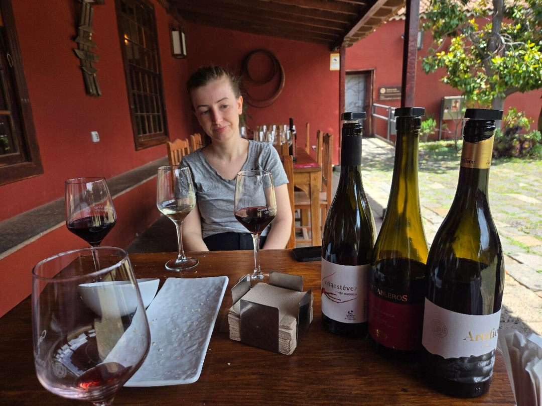 Casa Del Vino de Tenerife-El Sauzal必去景点