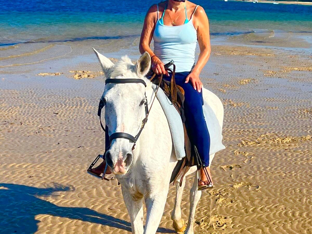 Mozambique Horse Safari-Vilanculos必去景点