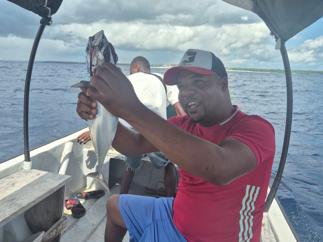 Suley Taxi Driver Zanzibar and Tours-孥归必去景点