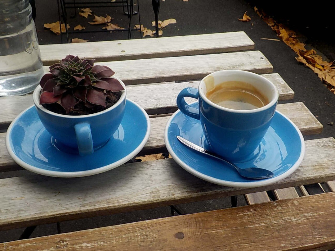 Floor Monkey Coffee