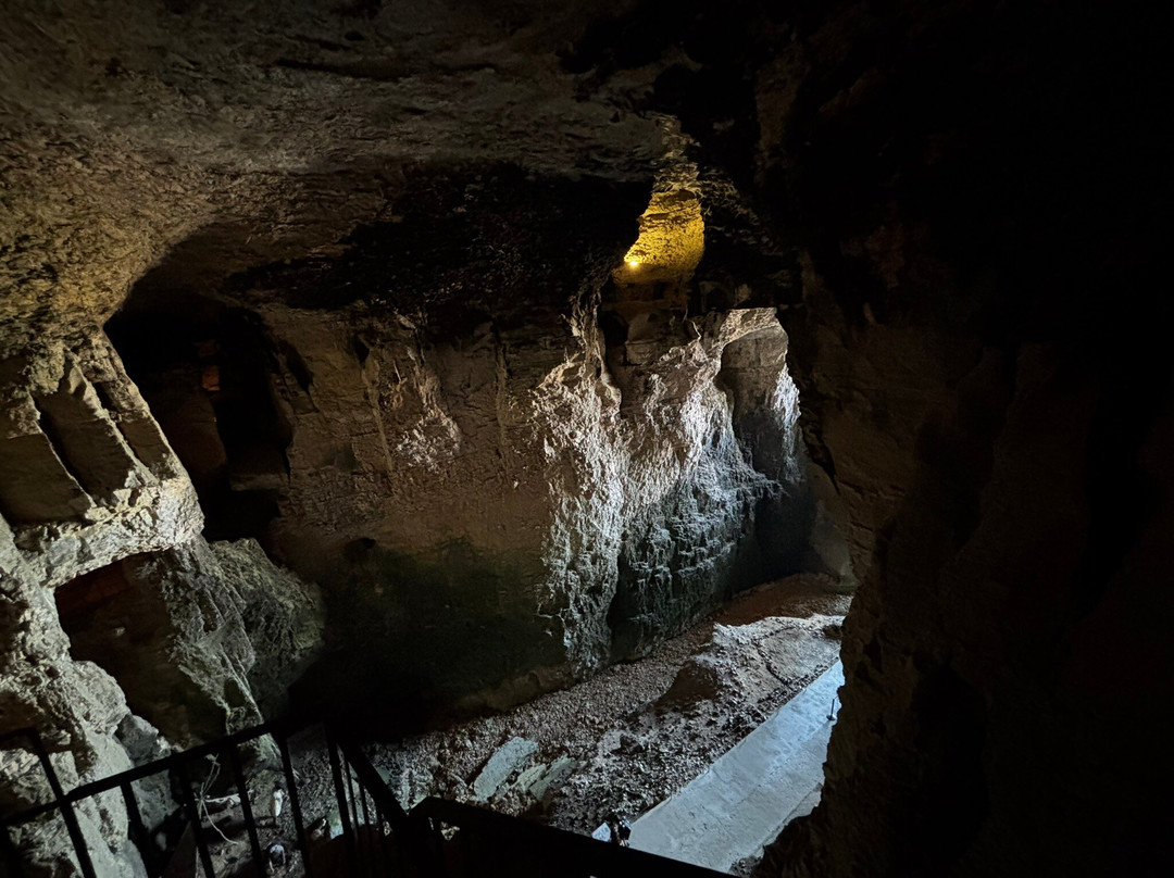 Les Grottes de La Balme-La Balme-les-Grottes必去景点
