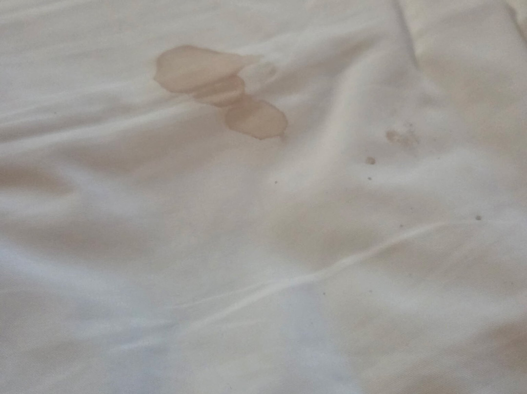 诺克斯维尔西雅乐轩酒店主图