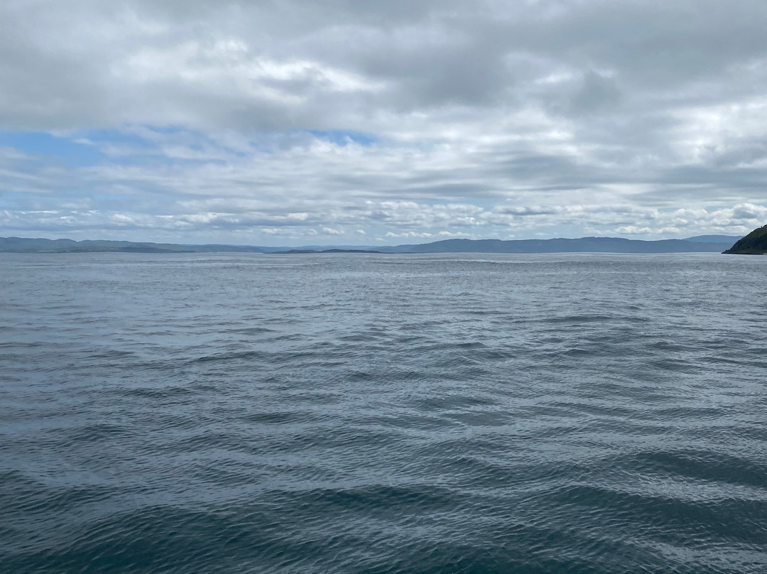 Sealife Adventures-Isle of Seil必去景点