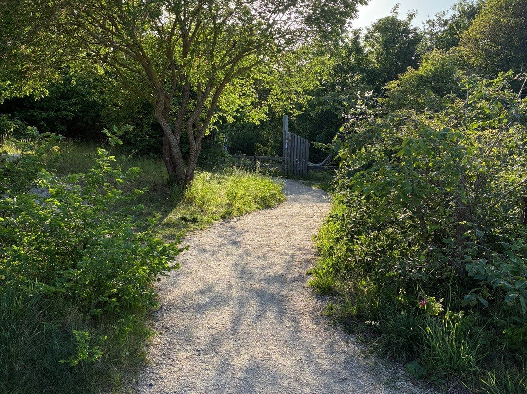 Natuurgebied Zwanenwater-Callantsoog必去景点