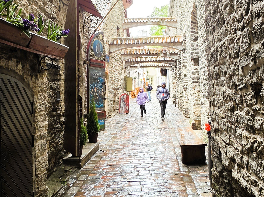 St. Catherine's Passage-塔林必去景点