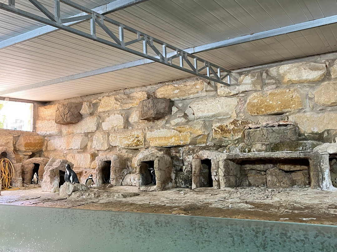 Pafos Zoo-帕福斯必去景点