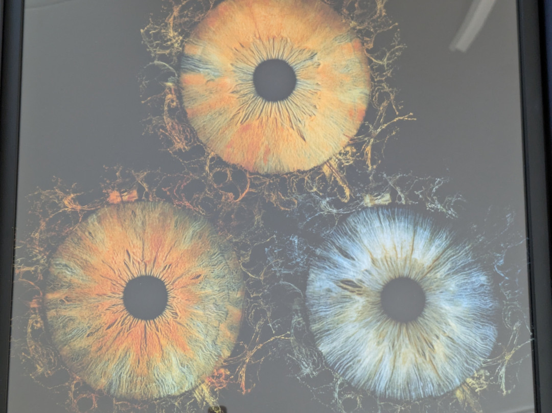 Iris Galerie Breda