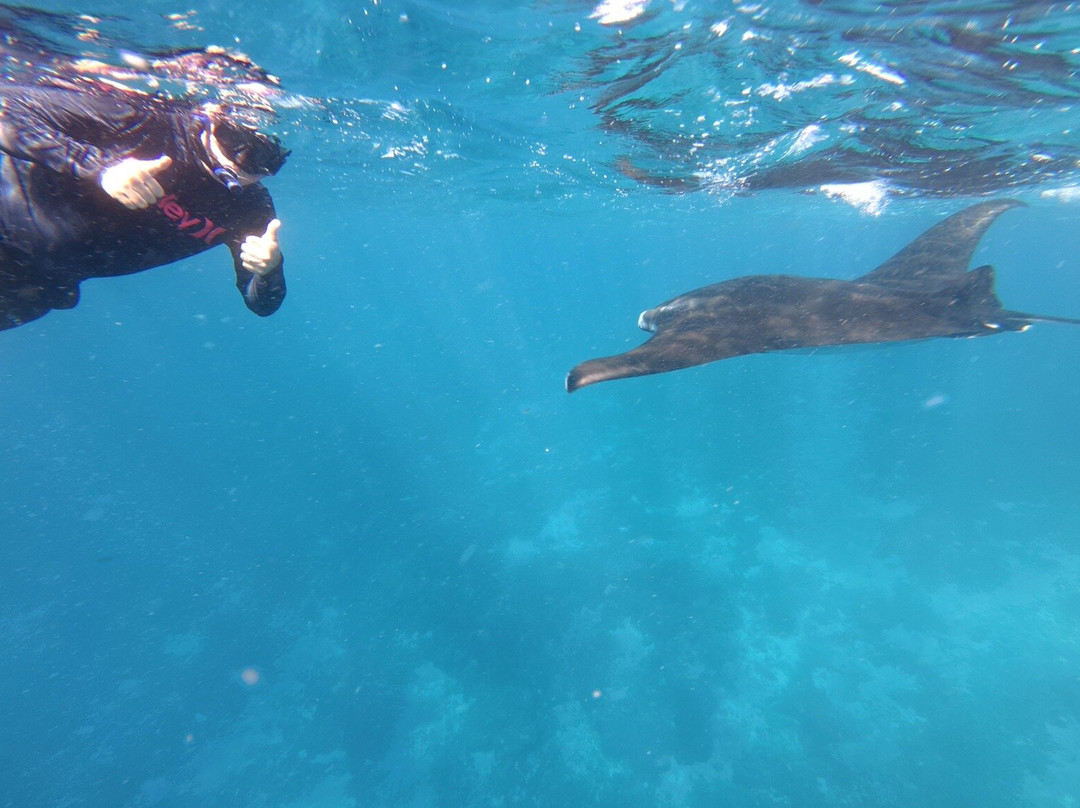 East Cruise Komodo-Labuan Bajo必去景点