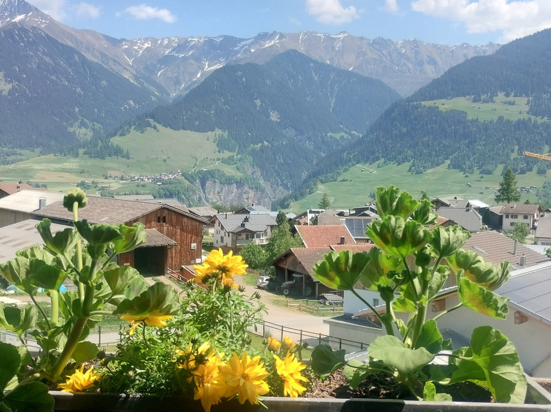 Hotel Gravas Lodge - Das Hotel für Gäste Mit Hund主图