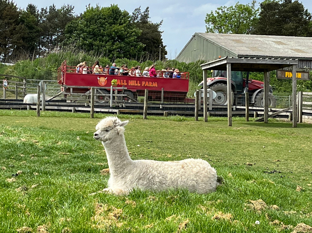 Hall Hill Farm-达勒姆必去景点