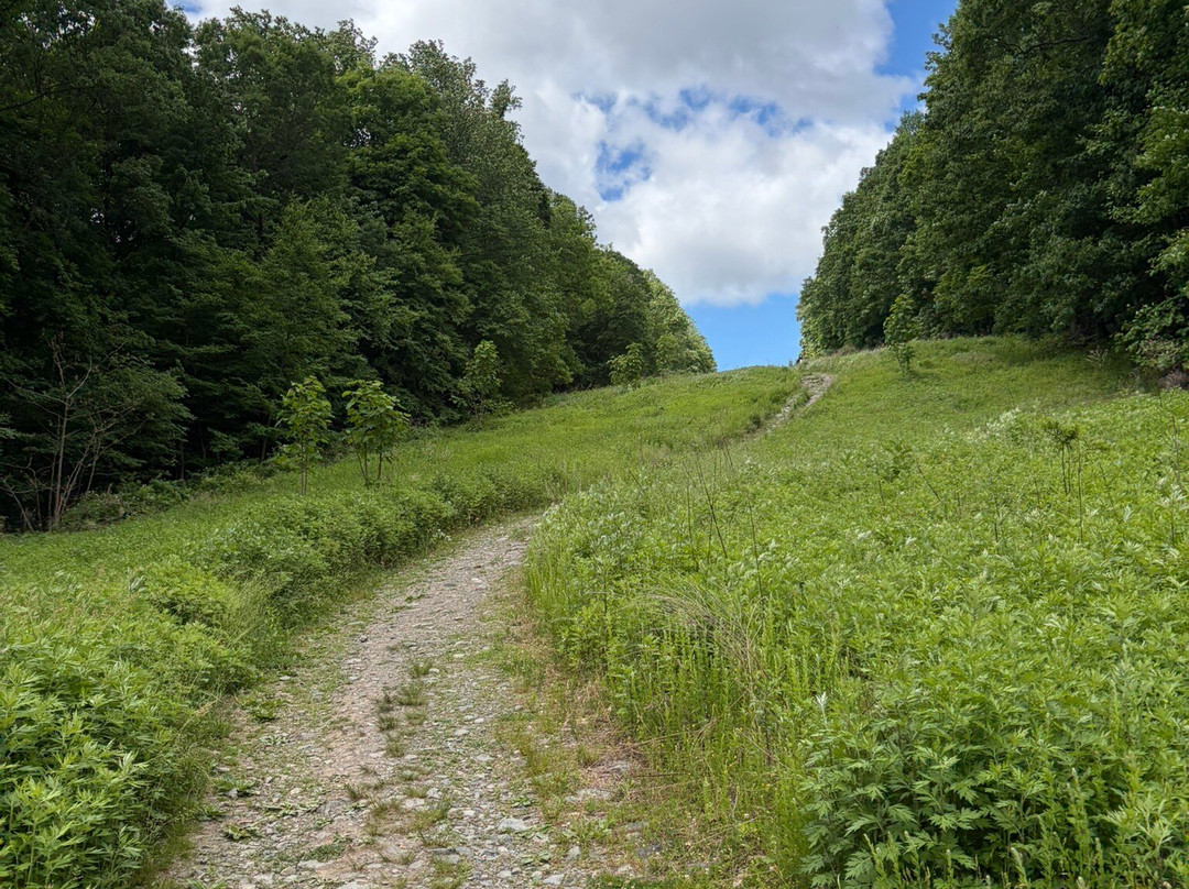 Sourland Mountain Preserve-希尔斯伯勒必去景点