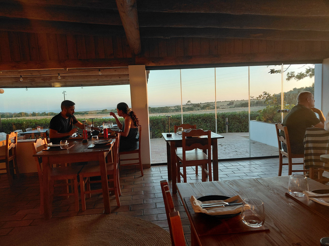 Herdade do Touril