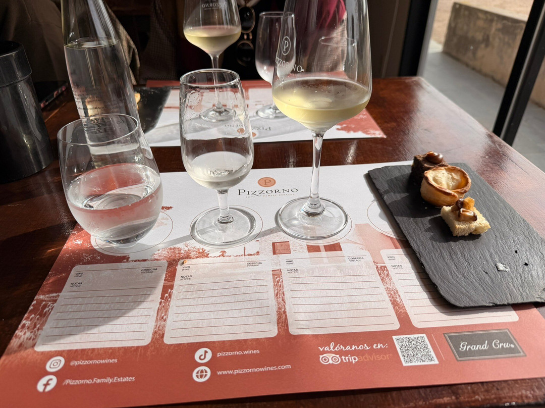 Pizzorno Family Estates-Canelones必去景点