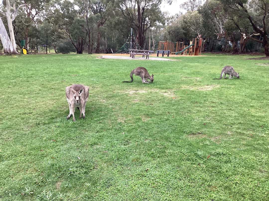 Kyneton Bushland Resort主图