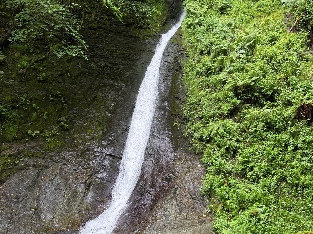 Lydford Gorge-Lydford必去景点