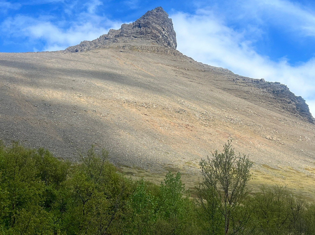 Skruður Botanical gardens-Thingeyri必去景点