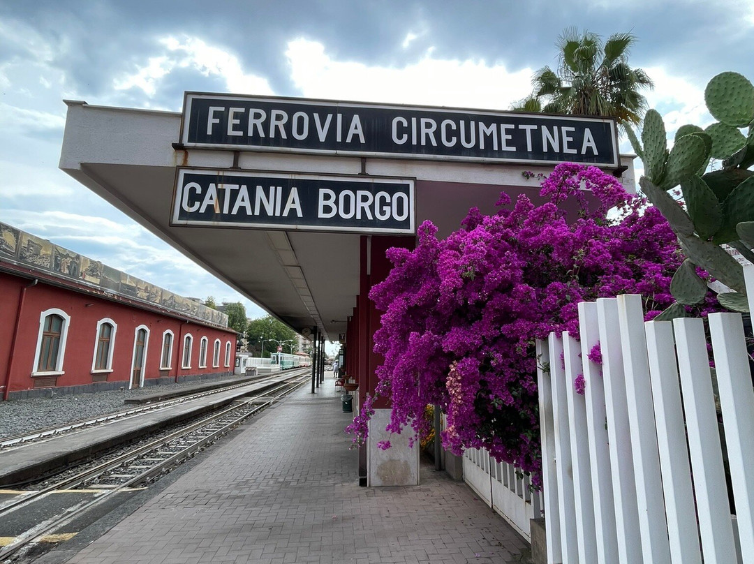 Circumetnea Railway-陶尔米纳必去景点