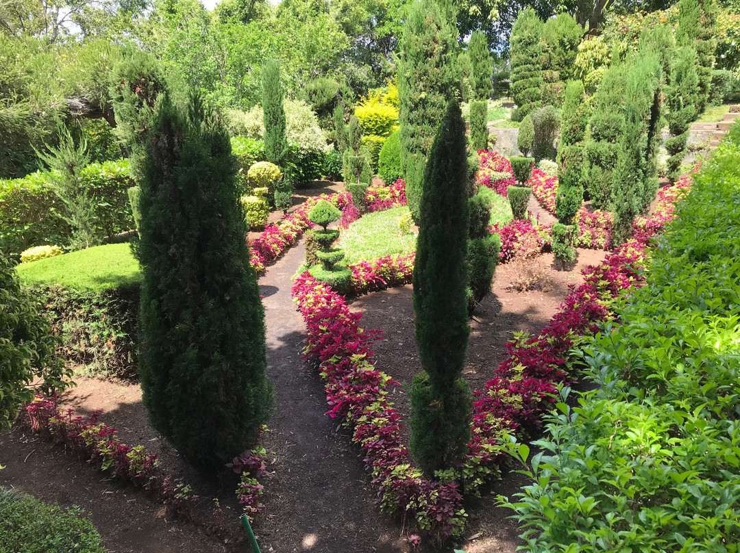 Madeira Botanical Garden-沙尔必去景点