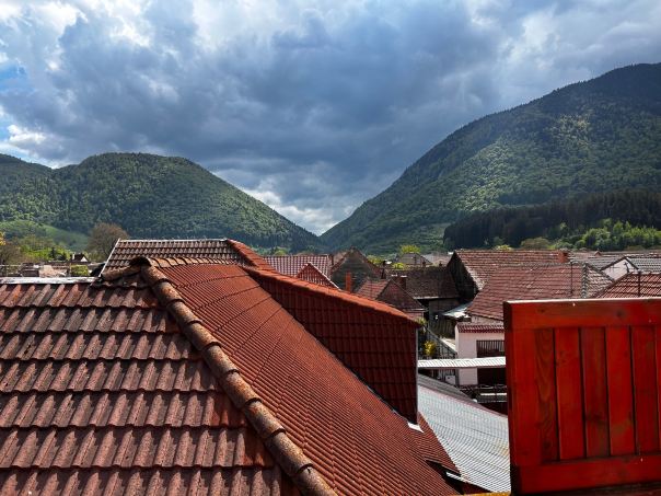 Pensiunea Kyfana Zarnesti-旅行者
