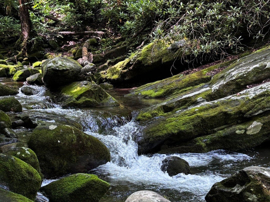 Roaring Fork Motor Nature Trail-大雾山国家公园必去景点