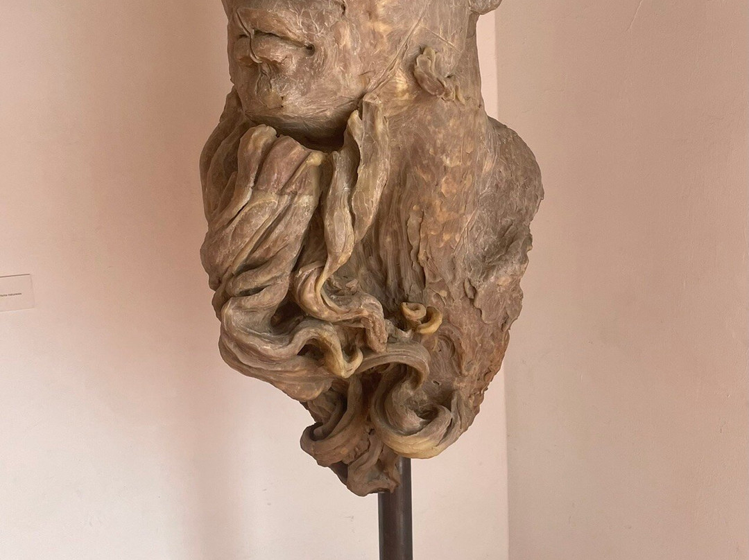 Museo de Arte Contemporaneo de Oaxaca (MACO)-瓦哈卡必去景点