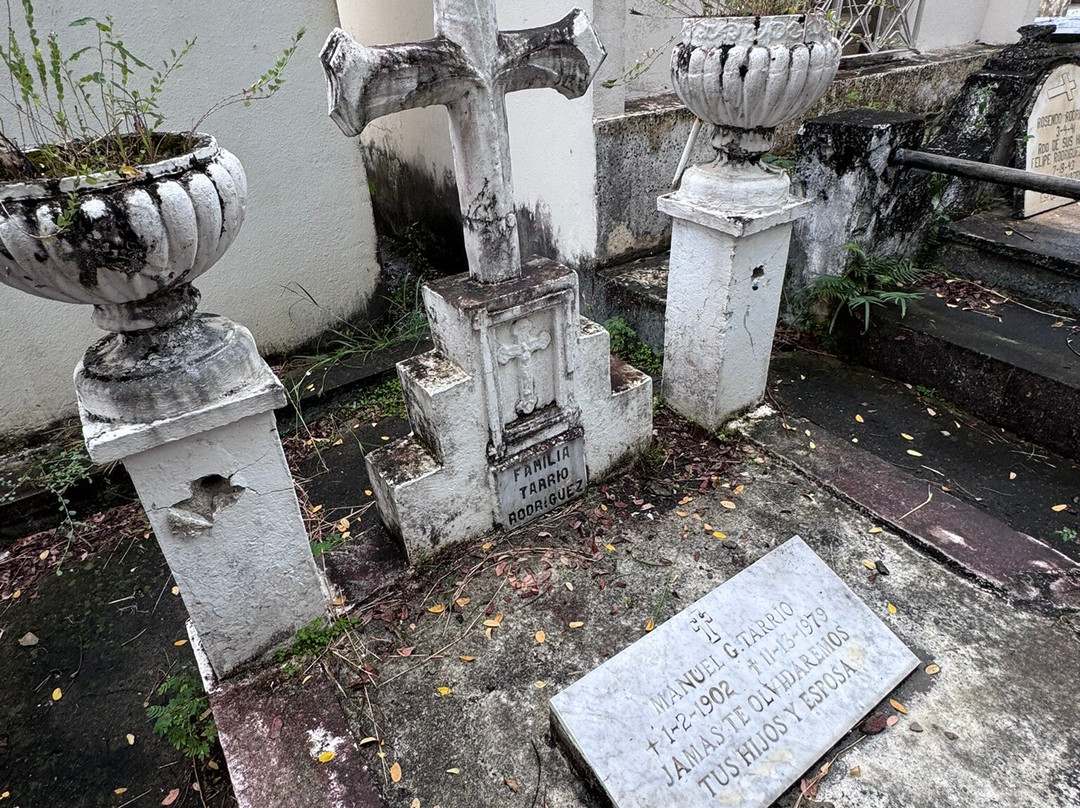 Mayaguez Old Cemetery-Mayaguez必去景点
